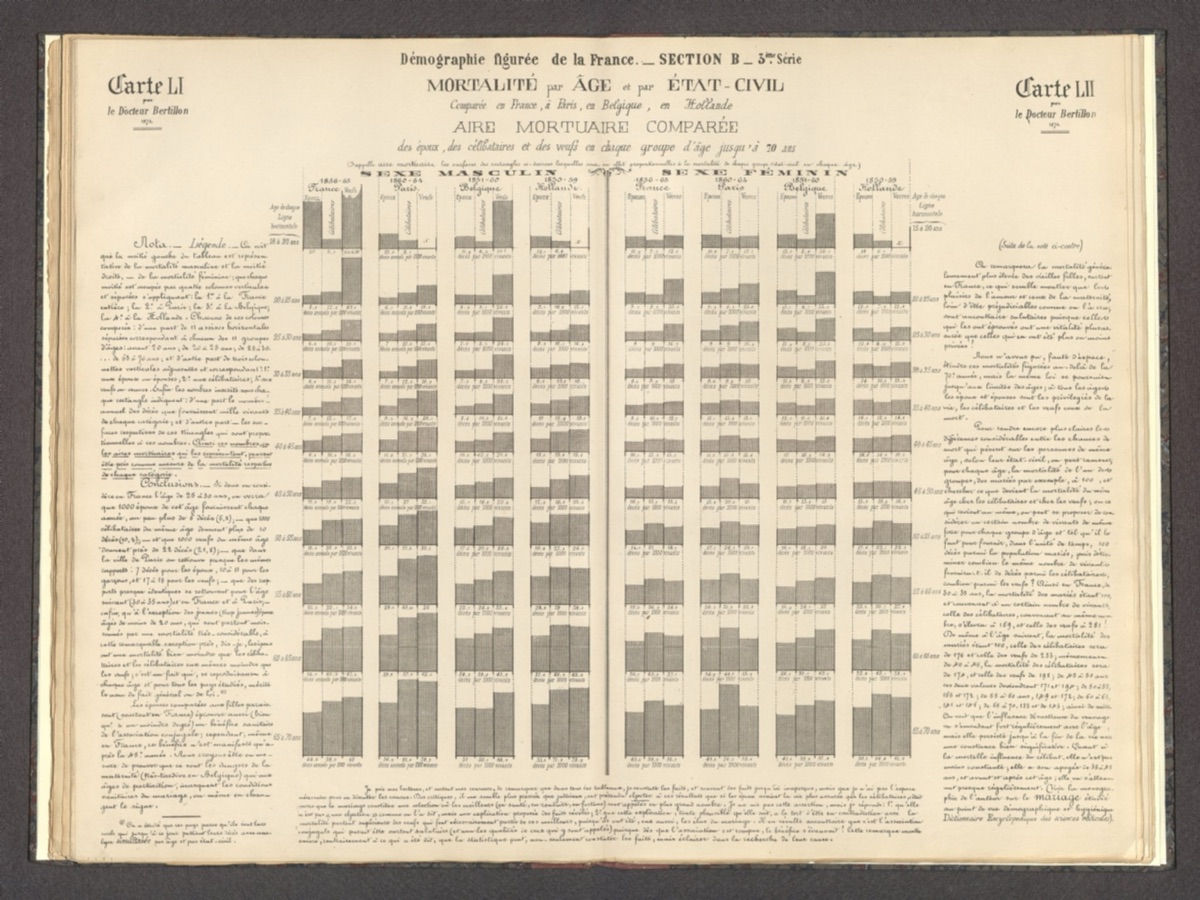 Statistic chart of french population demographics
