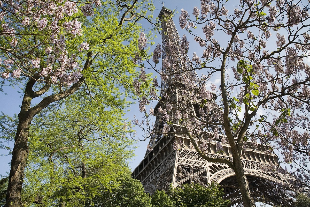 tour eiffel à la nuit