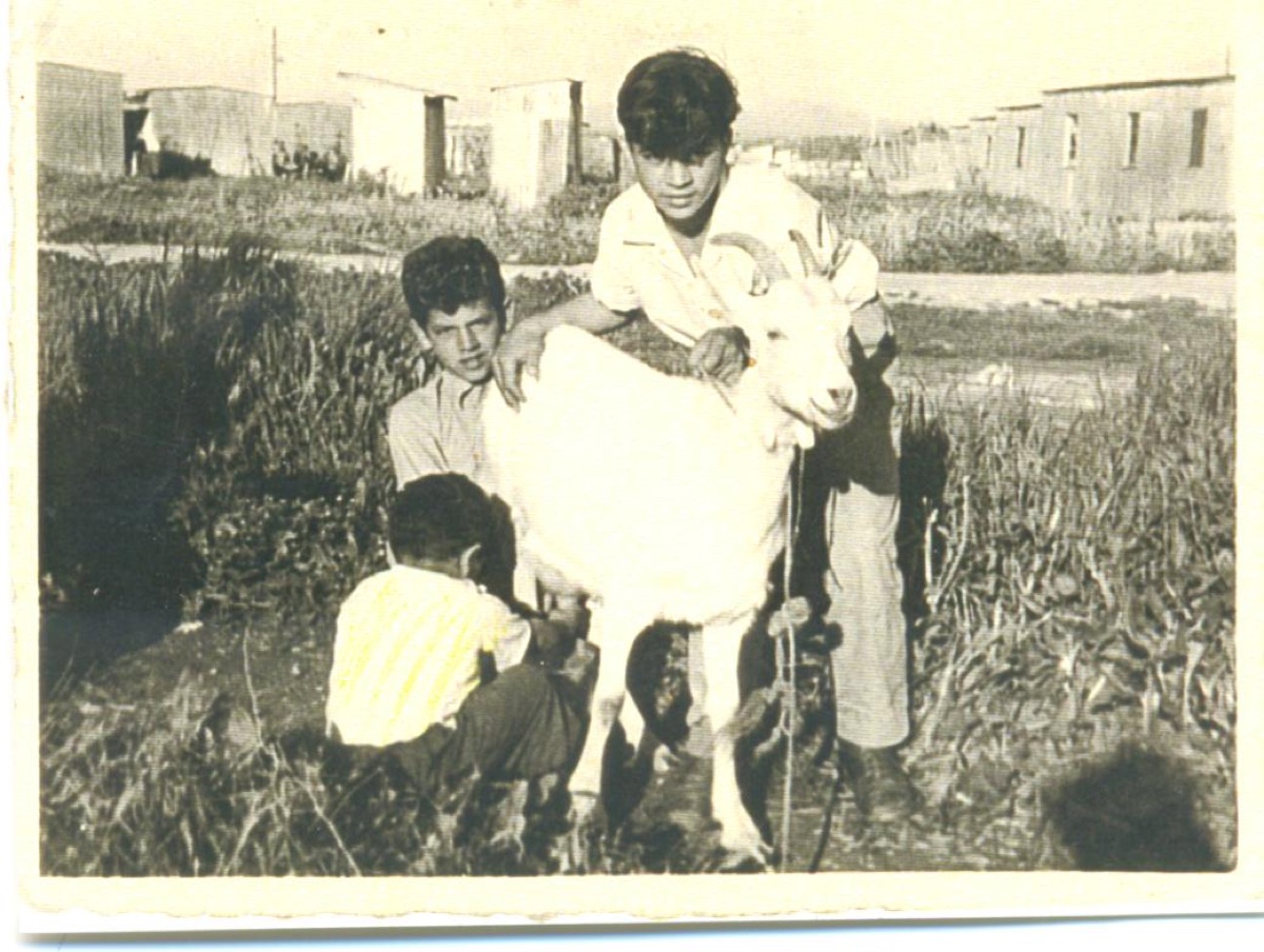 Documentos antiguos de inmigración