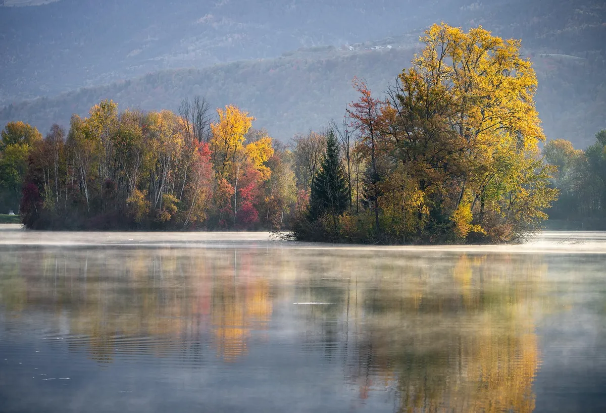 lake, nature, autumn, fall, water, water reflection, trees, woods, morning, scenery, scenic, countryside, savoie, grésy-sur-isère, france, lake, autumn, autumn,