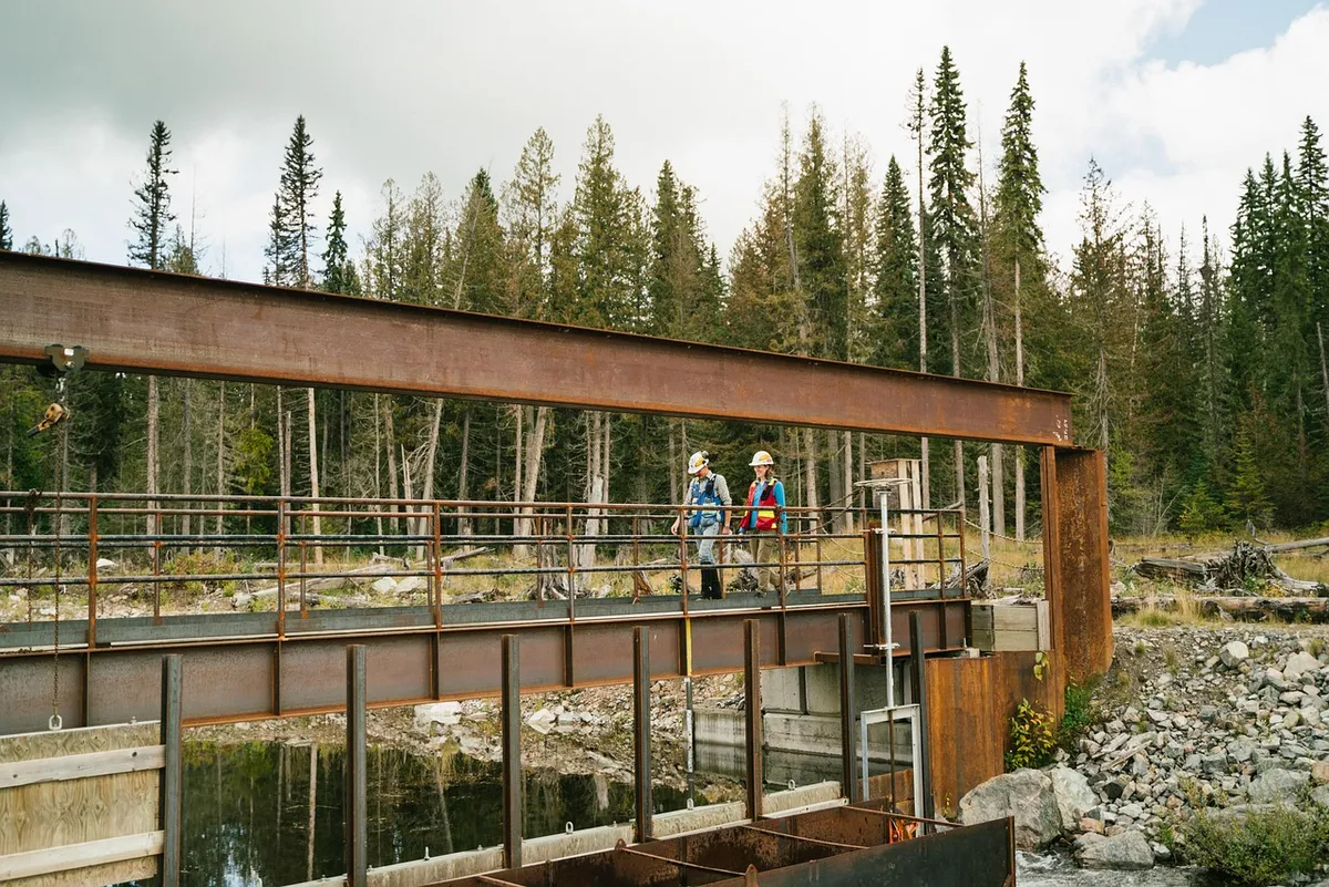 mount polley, environmental workers, environmental science, hazeltine creek, environmental science, environmental science, environmental science, environmental