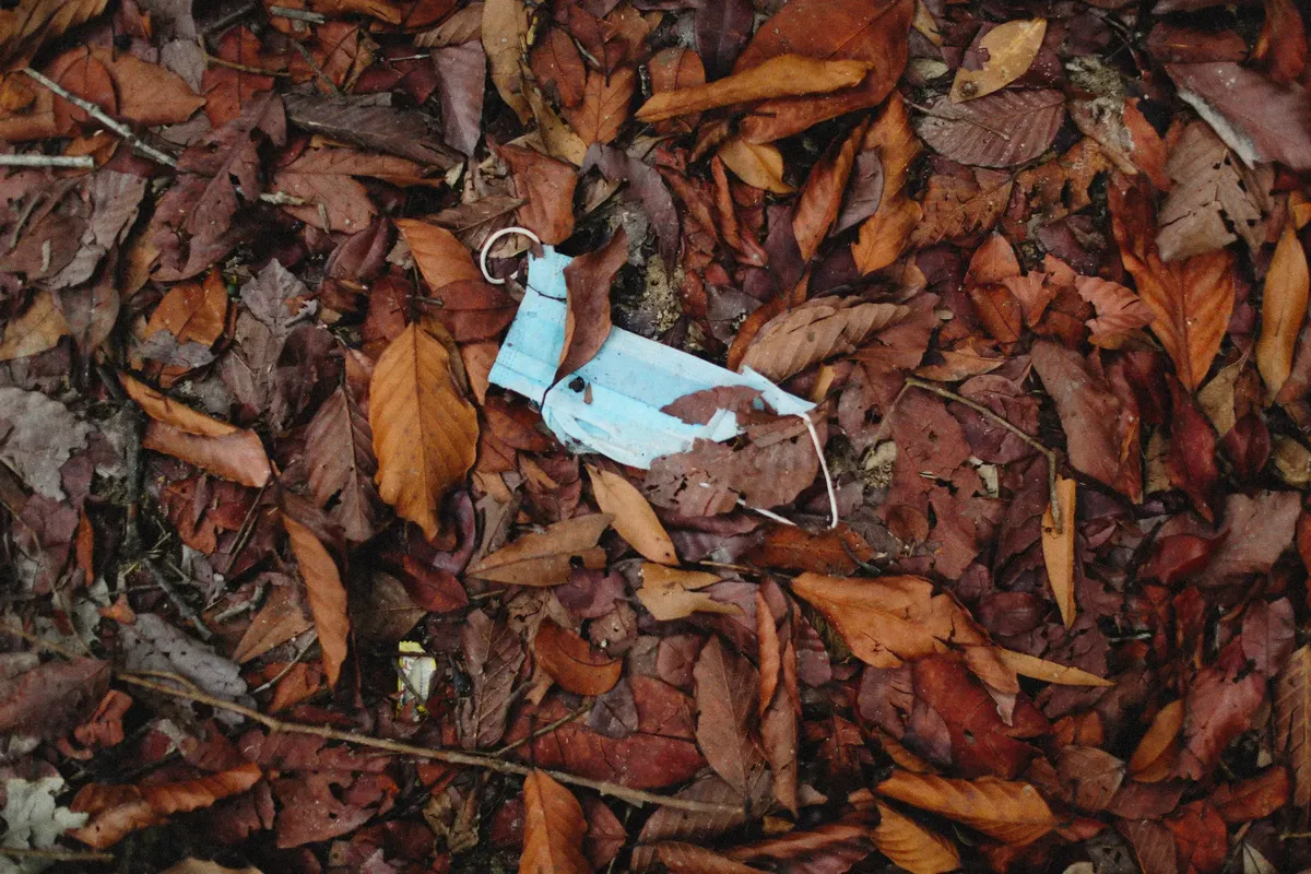 A single blue face mask lies on a bed of autumn leaves, symbolizing environmental littering.