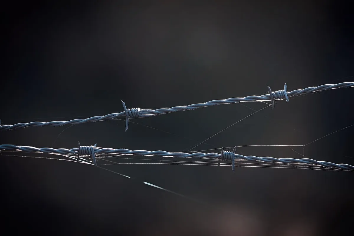 barbed wire, jail, fence, security, barrier, to back up, protection, metal, sharp, dangerous, escape, obstacle